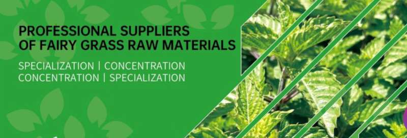 MESONA ENTERPRISE (M) SDN BHD