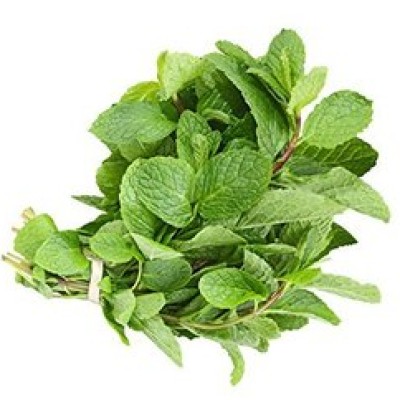 Mint (Sold Per KG) [KLANG VALLEY ONLY]