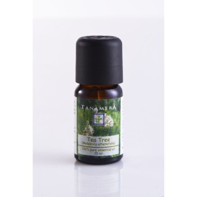 Essential oil Tea Tree