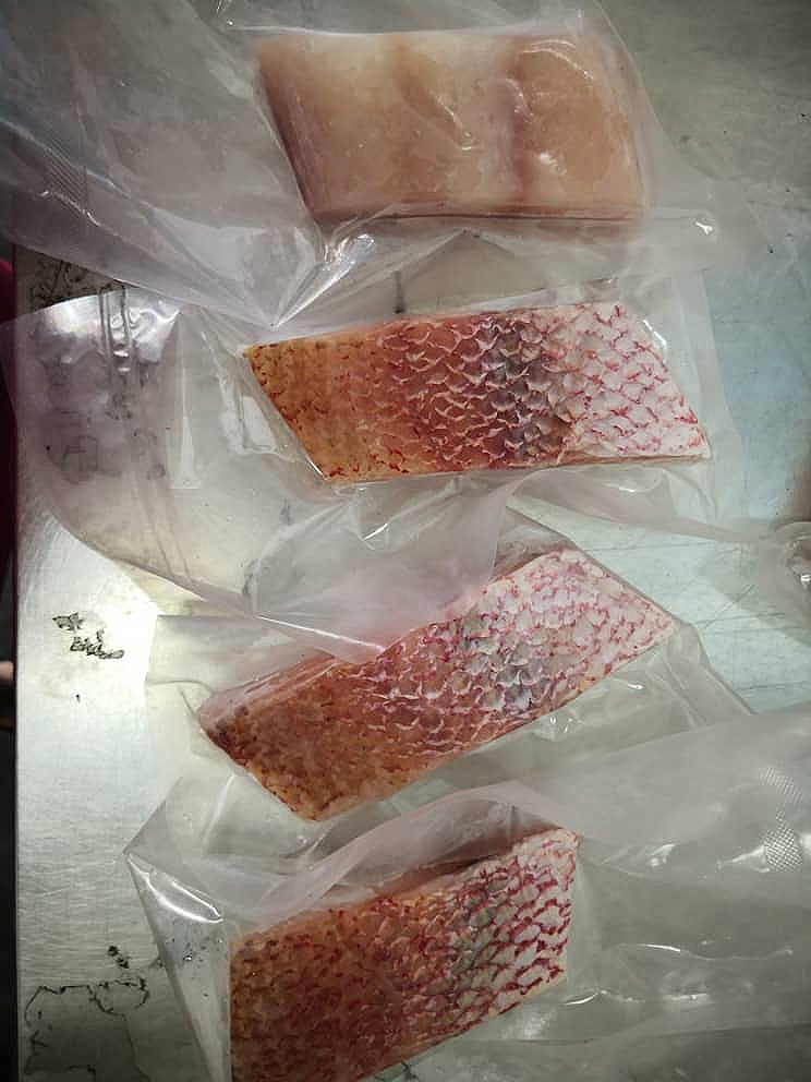 FRESCO Red Snapper portion 140g-150g per piece [SOLD PER PIECE]