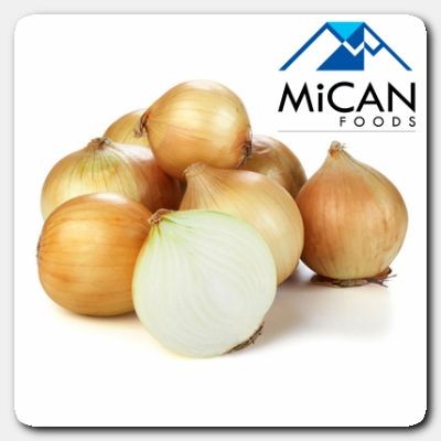 Holland Big | Onion |  Bawang Besar Belanda  (13KG Per Unit)