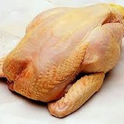 MATURED CHICKEN  (SOLD PER CARTON) AYAM TUA