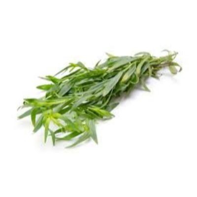 Tarragon (sold by kg)