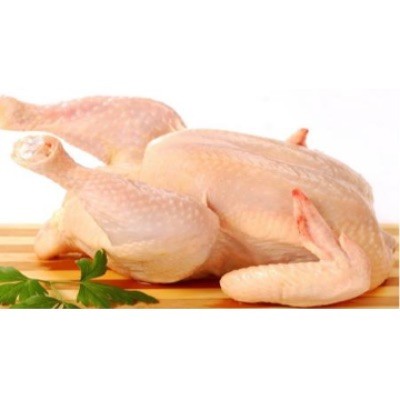 Village Chicken Hen ( Whole ) (Sold Per KG)