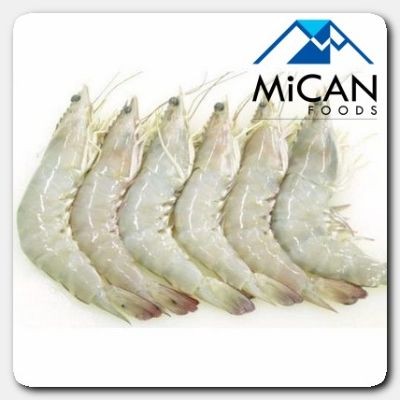 Sabah Wild White Prawn [Frozen, HOSO, 26,30] | Udang Putih Liar Sabah [Beku] (10 Units Per Carton)