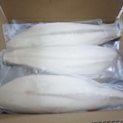 Butter Fish Fillet (Vacuum)