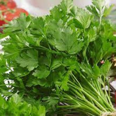 Parsley Italian [100g pkt] [KLANG VALLEY ONLY]