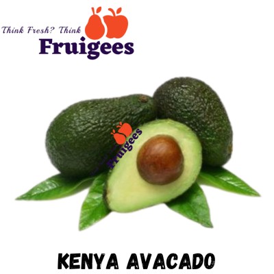 KENYA AVACADO