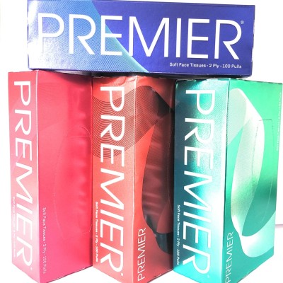 Premier Tissue 2 Ply 100 Pulls x 16