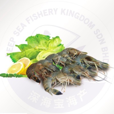 Black Tiger Prawn HOSO 16 20 (1 Units Per Outer)