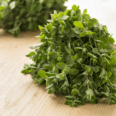 Marjoram Fresh [50g pkt] [KLANG VALLEY ONLY]