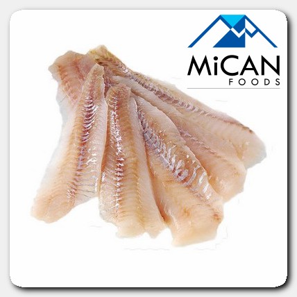 Premium Fish Fillet - Frozen Alaska Pollock