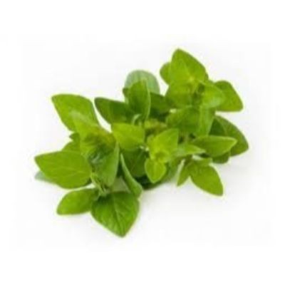 Oregano (sold by kg)