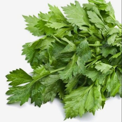 Celery Leaves - Daun Sup (1 Bunch) [KLANG VALLEY ONLY]