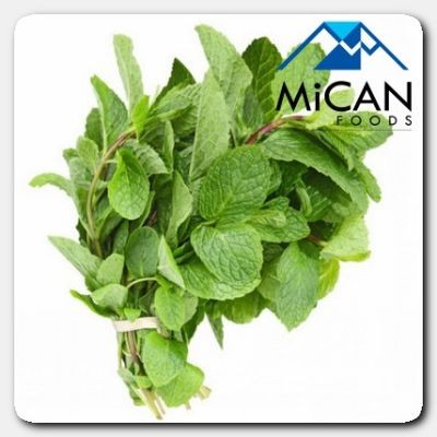 Mint Leaf | Daun Pudina (800G Per Unit)