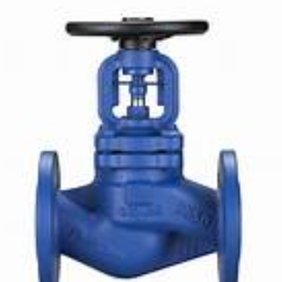 GLOBE VALVE 1'' x 300# RF