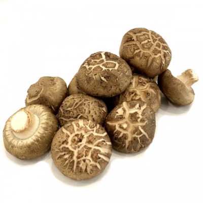 Mushroom Shiitake [200g pkt] [KLANG VALLEY ONLY]