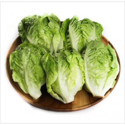 Lettuce Romaine Baby Yau Mak Dam (Sold Per KG) [KLANG VALLEY ONLY]