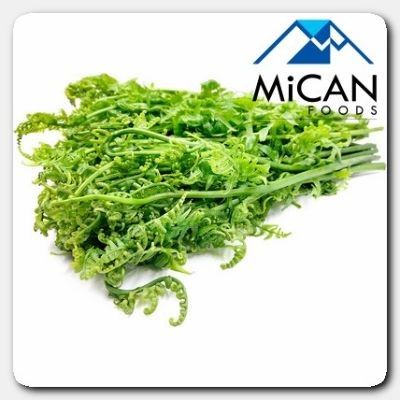 Fiddlehead Fern   Pucuk Paku (2.5KG Per Unit)