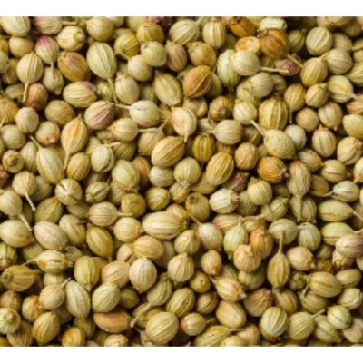 Coriander Seed Biji Ketumbar 20g [KLANG VALLEY ONLY]