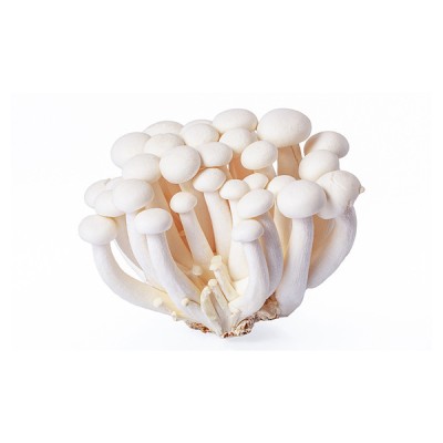 Mushroom Shimeiji White [200g pkt] [KLANG VALLEY ONLY]