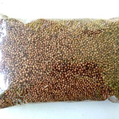 Biji Ketumbar 500g India