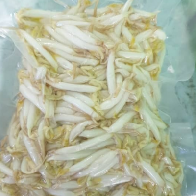 [PRE ORDER] Bean Sprouts (300 gram per pack)