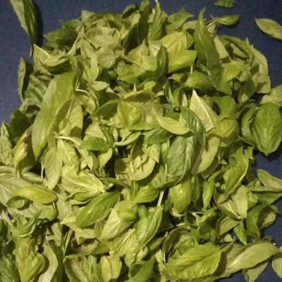 VGROW Dried Basil 500g