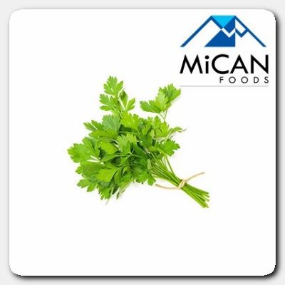 Chinese Parsley   Daun Sup (800G Per Unit)