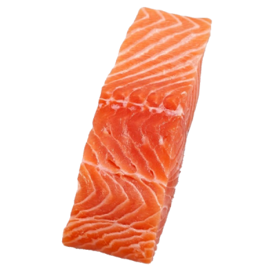 Salmon Fillet