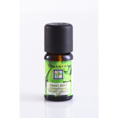 Essential oil Sweet Basil