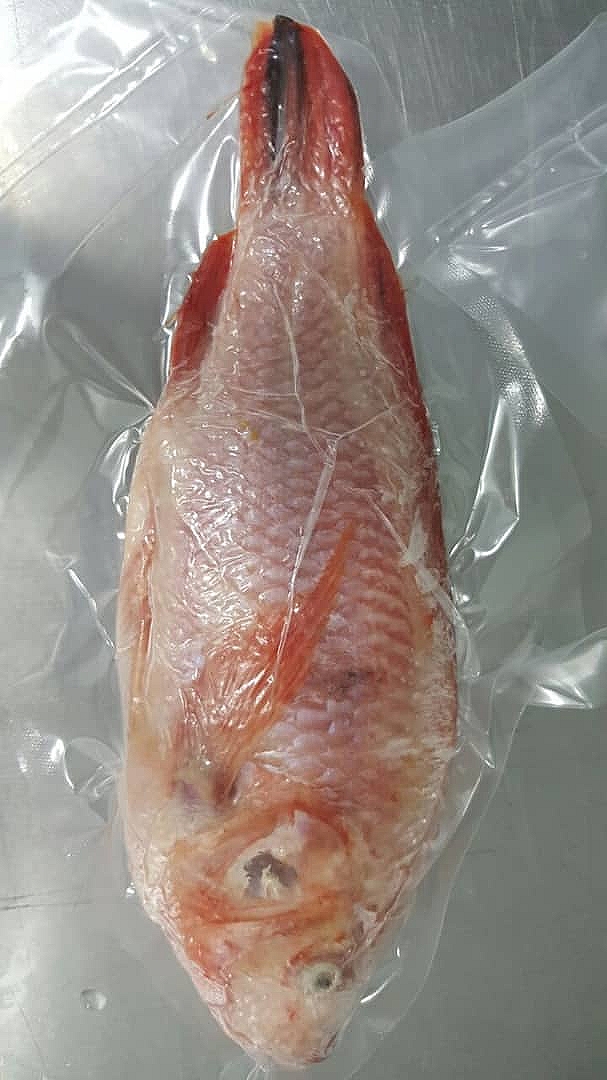 FRESCO Tilapia WR 500g-600g per piece [SOLD PER PIECE]