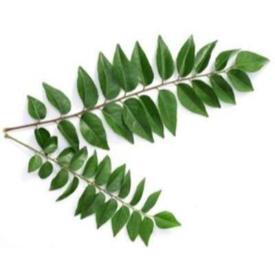 Curry Leaves, Daun Kari 200g bundle (sold per bundle)