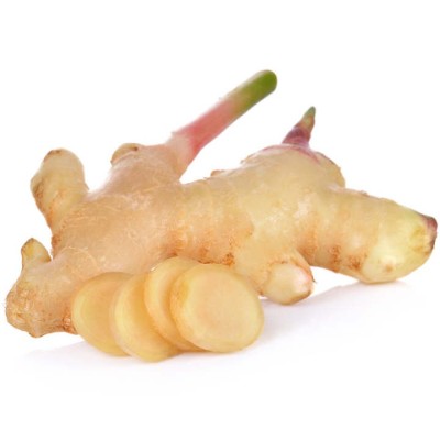 Ginger Young Halia Muda (Sold Per KG) [KLANG VALLEY ONLY]