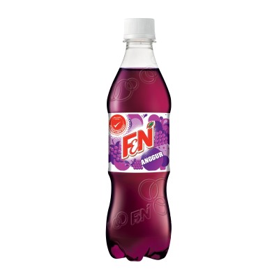 F&N GRAPE 500ml