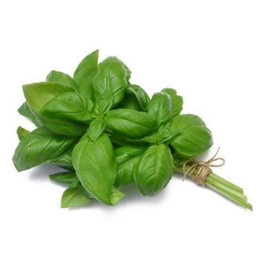 Basil Fresh [100g pkt] [KLANG VALLEY ONLY]