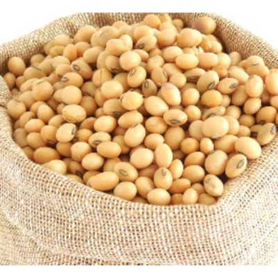 Soya Bean Kacang Soya 300g [KLANG VALLEY ONLY]