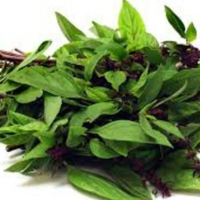 Basil Thai Daun Selasih (Sold Per KG) [KLANG VALLEY ONLY]