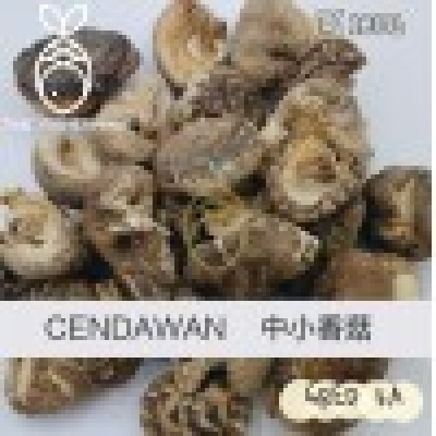 Dried Small Mushroom   ( 1KG  PACK )