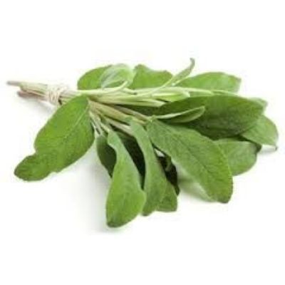 Sage (sold by kg)