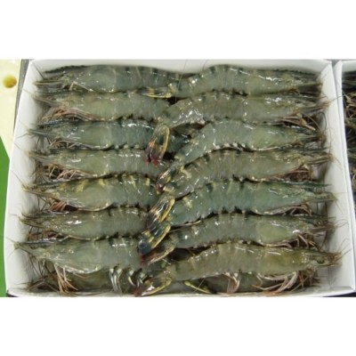 Tiger Prawns 1kg (21 30) (Frozen) [KLANG VALLEY ONLY]