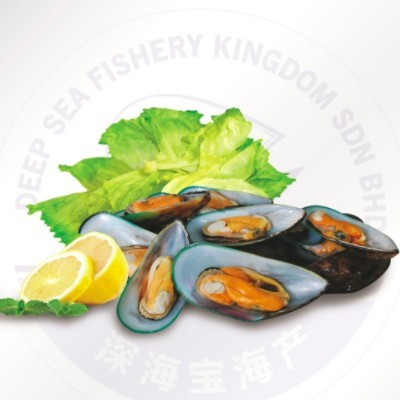 Half Shell Green Mussel (12 Units Per Carton)