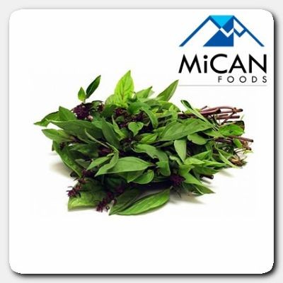 Thai Basil | Daun Selasih Thai (800G Per Unit)