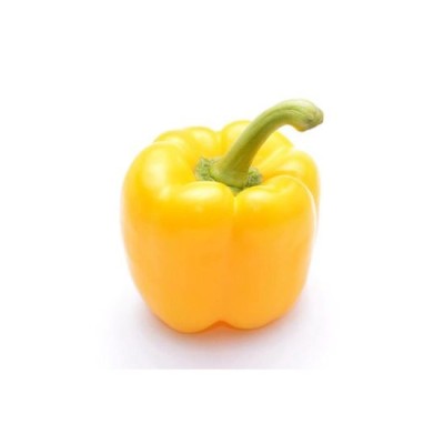 Capsicum Yellow 1pcs [KLANG VALLEY ONLY]