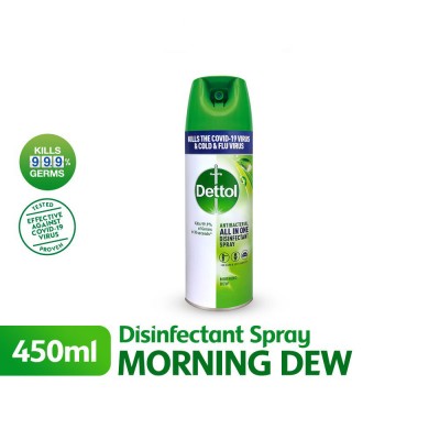 Dettol Disinfectant Spray Morning Dew 450ml