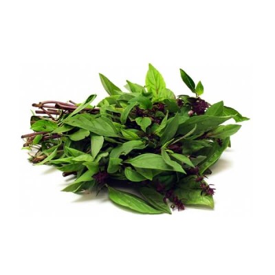 Basil Leaves - Daun Selasih (per Packet) [KLANG VALLEY ONLY]