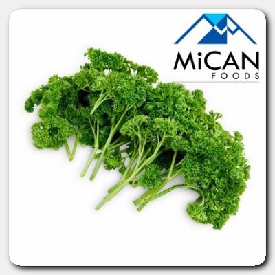 English Parsley (800G Per Unit)