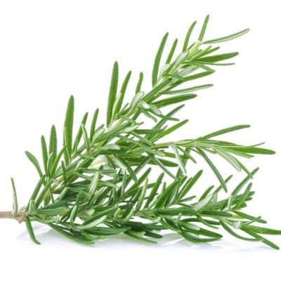 Rosemary Fresh [100g pkt] [KLANG VALLEY ONLY]