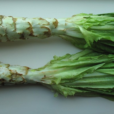 Celtuce (Sold Per KG) [KLANG VALLEY ONLY]