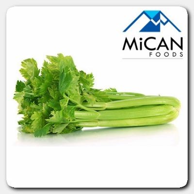 Celery (800G Per Unit)